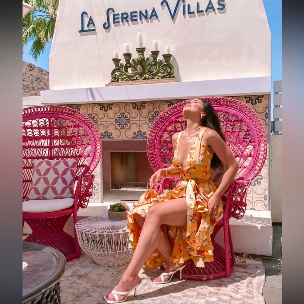 Bronx and Banco Narciss Dress $580